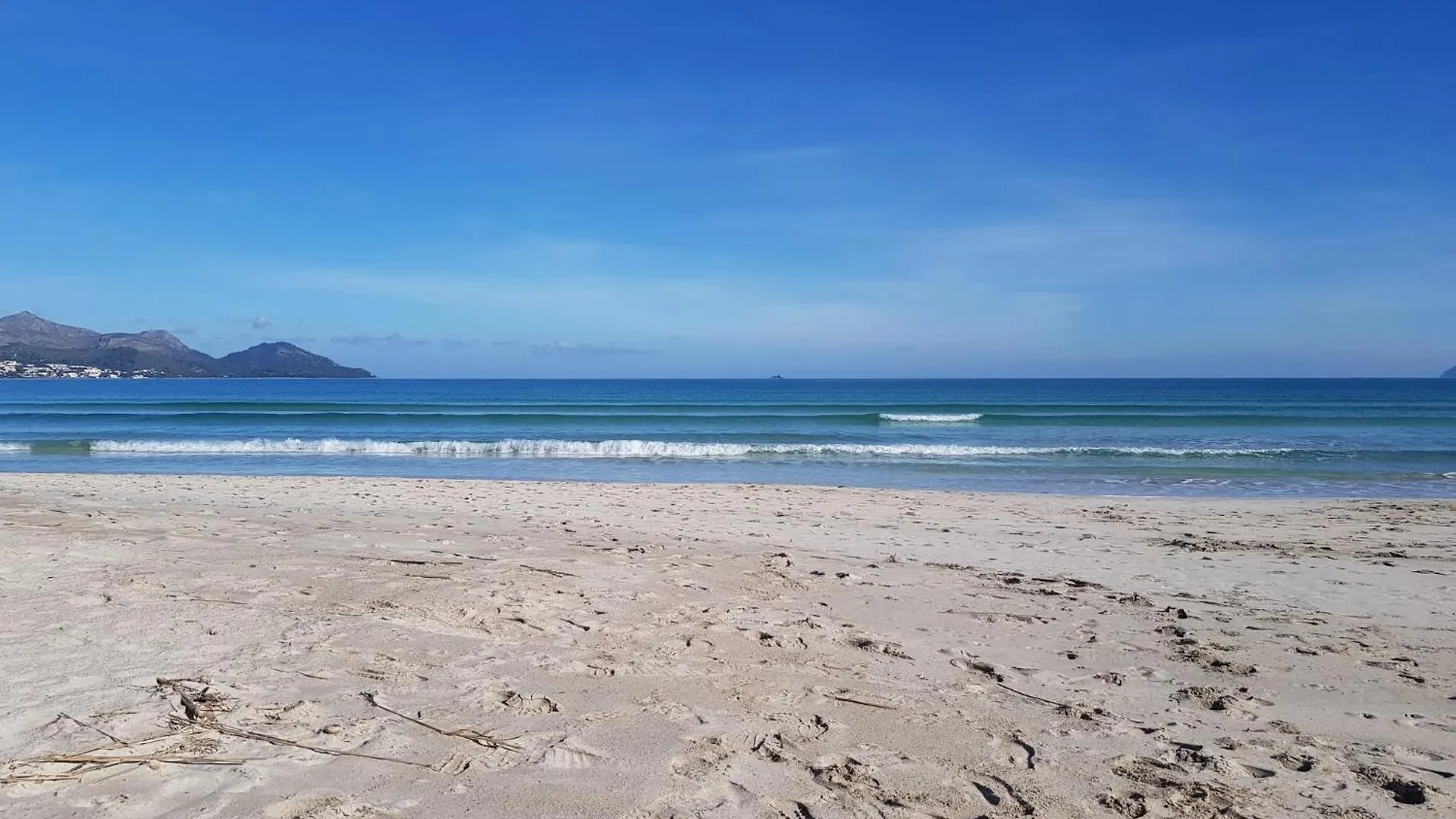 Apartment Ideal Property Mallorca - Mar Blau Alcudia