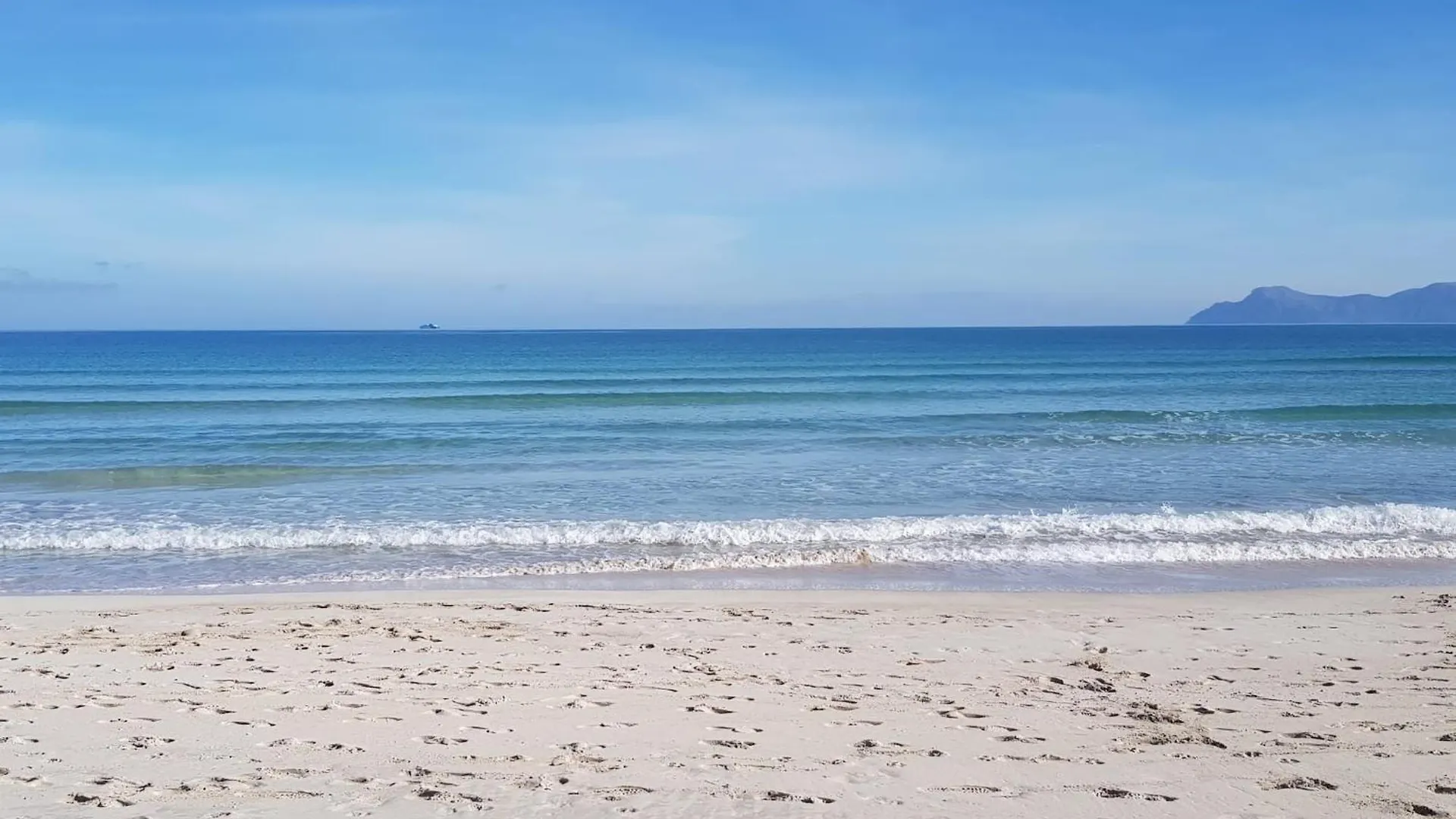 Ideal Property Mallorca - Mar Blau contacts